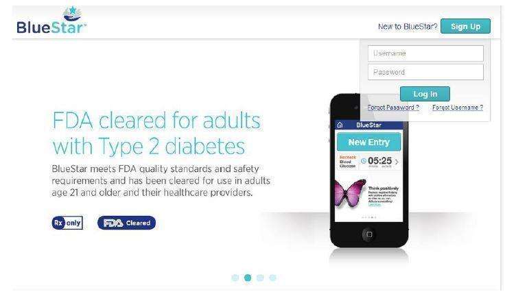 WellDoc BlueStar or WellDoc DiabetesManager System and DiabetesManager Rx System